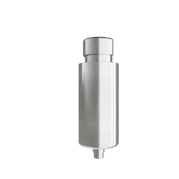 Pre-milled Ti-blanks compatible with Ctech™