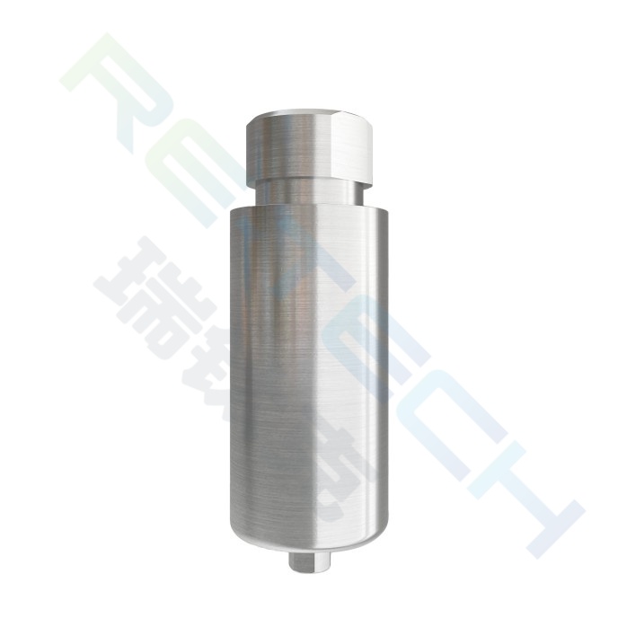 Pre-milled Ti-blanks compatible with Bego™