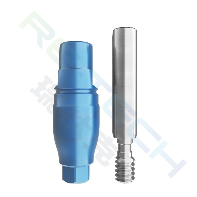 Closed-window Impression Coping compatible with Bego™
