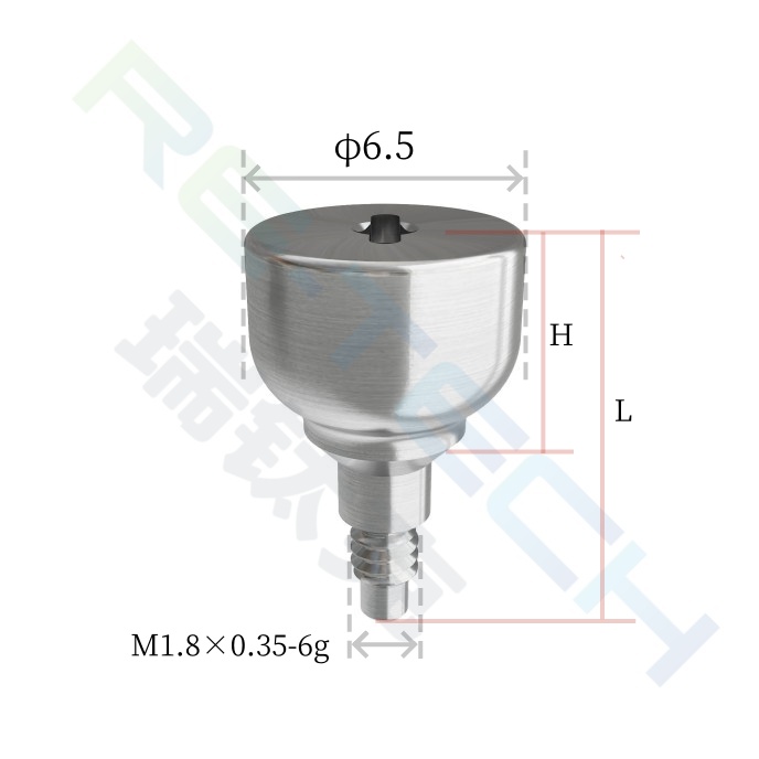 愈合基台Bego.jpg